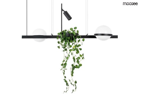 MOOSEE lampa wisząca PLANT czarna MOOSEE lampa wisząca PLANT czarna