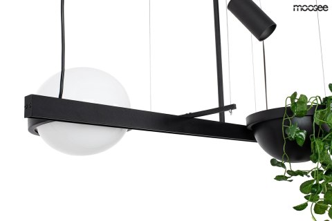 MOOSEE lampa wisząca PLANT czarna MOOSEE lampa wisząca PLANT czarna