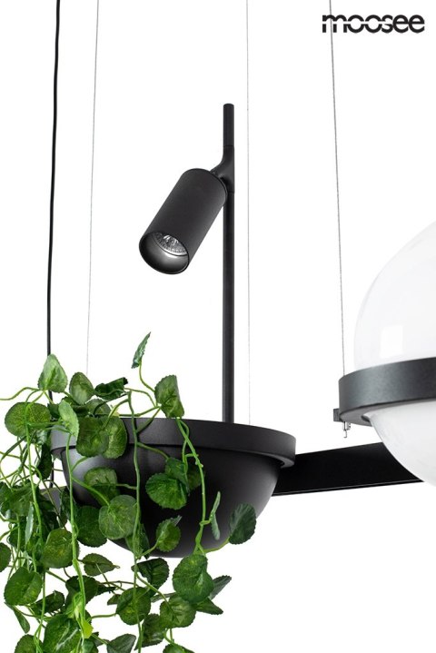 MOOSEE lampa wisząca PLANT czarna MOOSEE lampa wisząca PLANT czarna