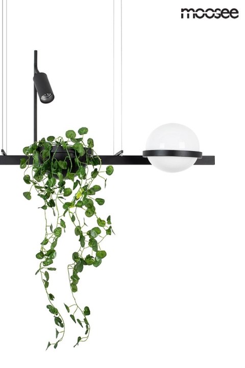 MOOSEE lampa wisząca PLANT czarna MOOSEE lampa wisząca PLANT czarna
