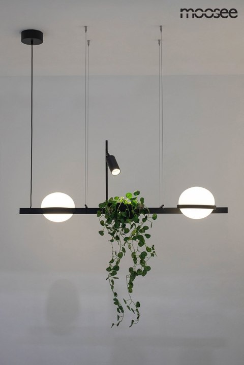MOOSEE lampa wisząca PLANT czarna MOOSEE lampa wisząca PLANT czarna