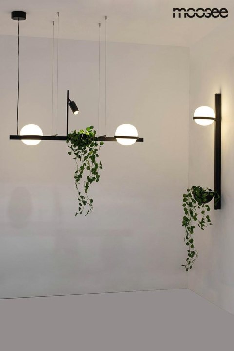 MOOSEE lampa wisząca PLANT czarna MOOSEE lampa wisząca PLANT czarna